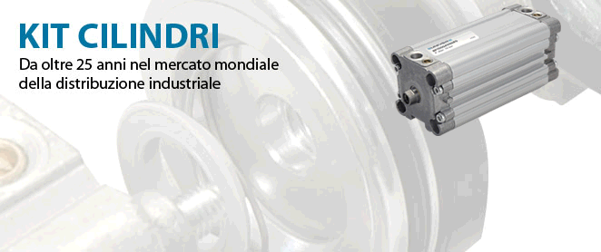 Servizio rapido - Qualità garantita - Ottimizzazione stock di magazzino
